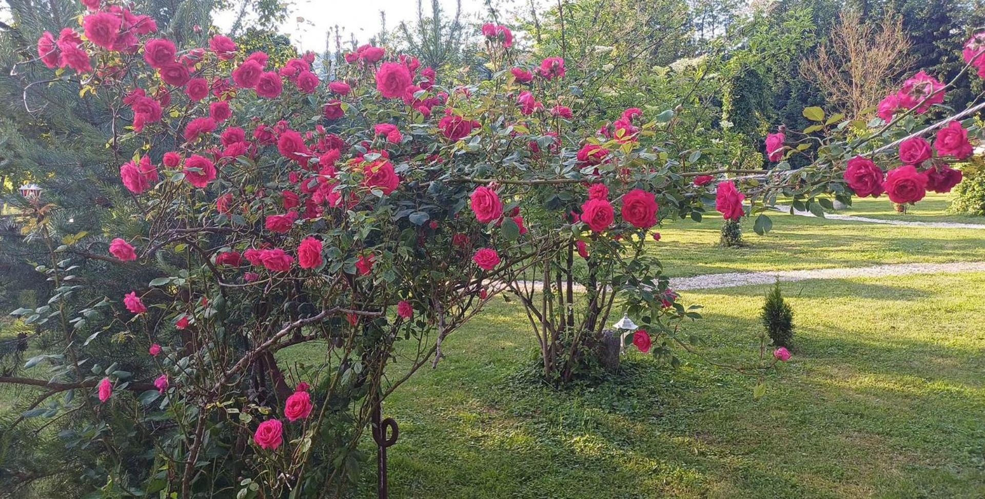 Edenski Vrt Ivancna Gorica Exteriér fotografie