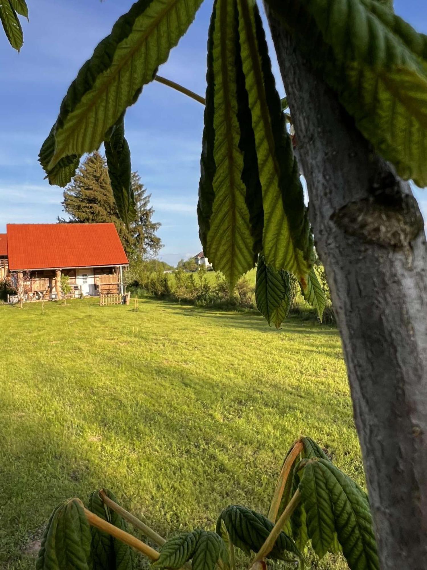 Edenski Vrt Ivancna Gorica Exteriér fotografie