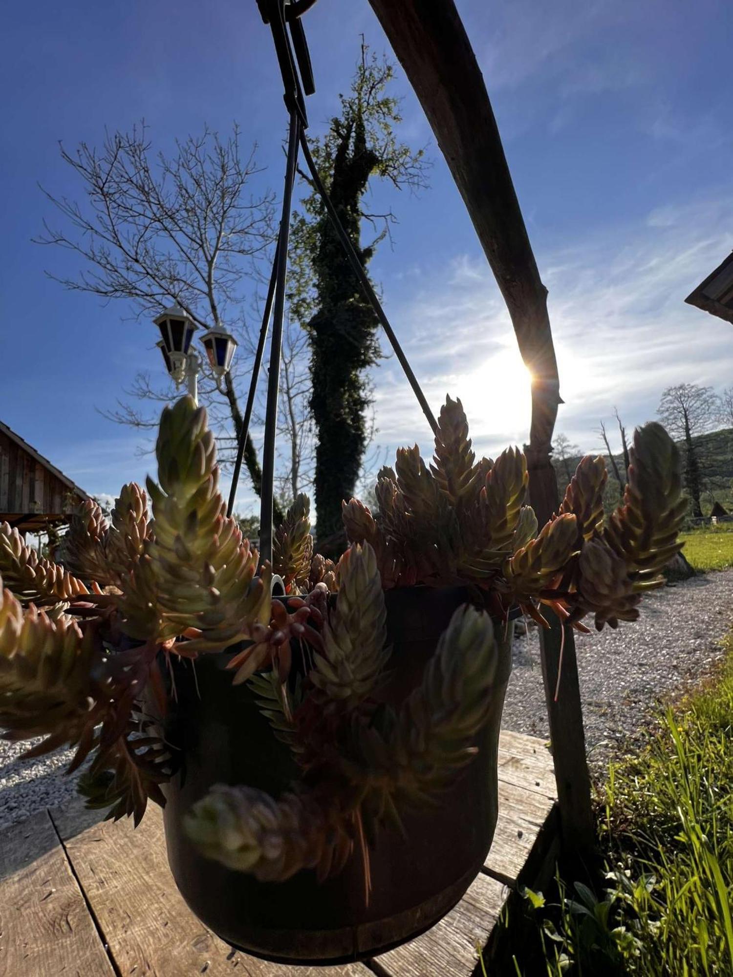 Edenski Vrt Ivancna Gorica Exteriér fotografie