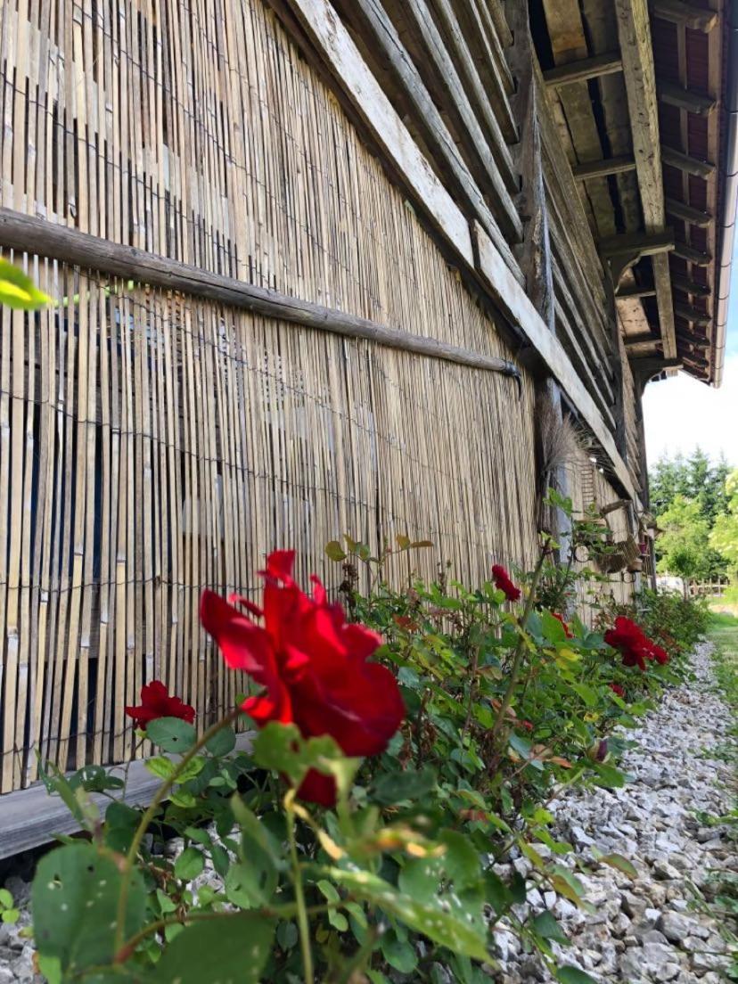 Edenski Vrt Ivancna Gorica Exteriér fotografie