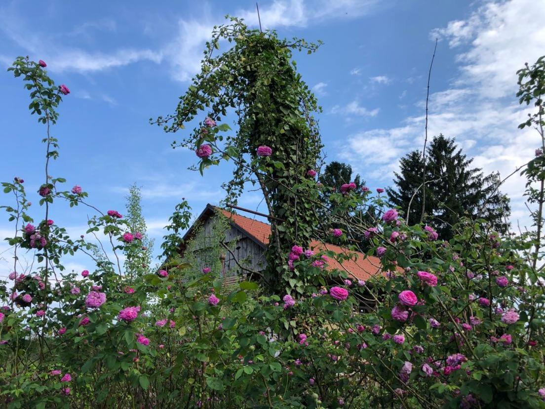 Edenski Vrt Ivancna Gorica Exteriér fotografie