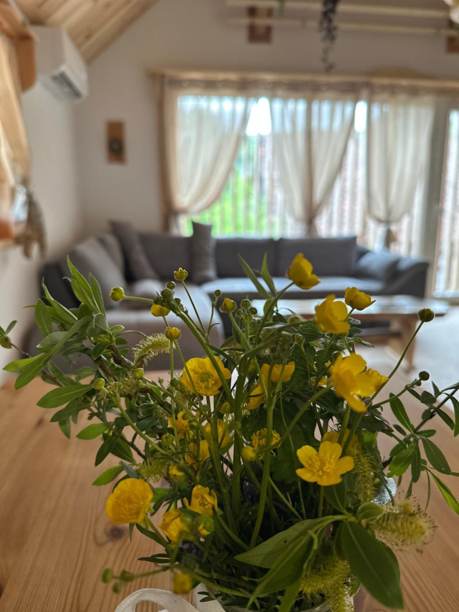 Edenski Vrt Ivancna Gorica Exteriér fotografie